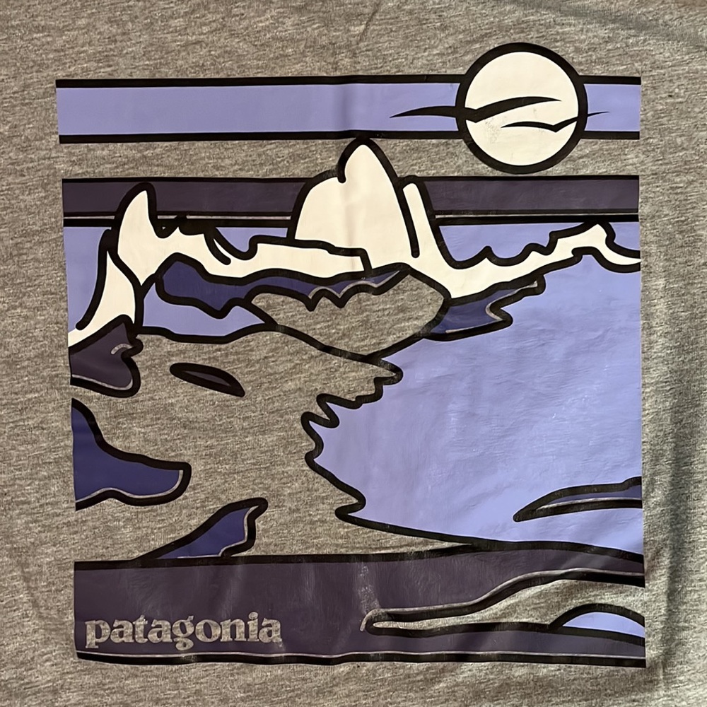 Patagonia Tee - Gray - L